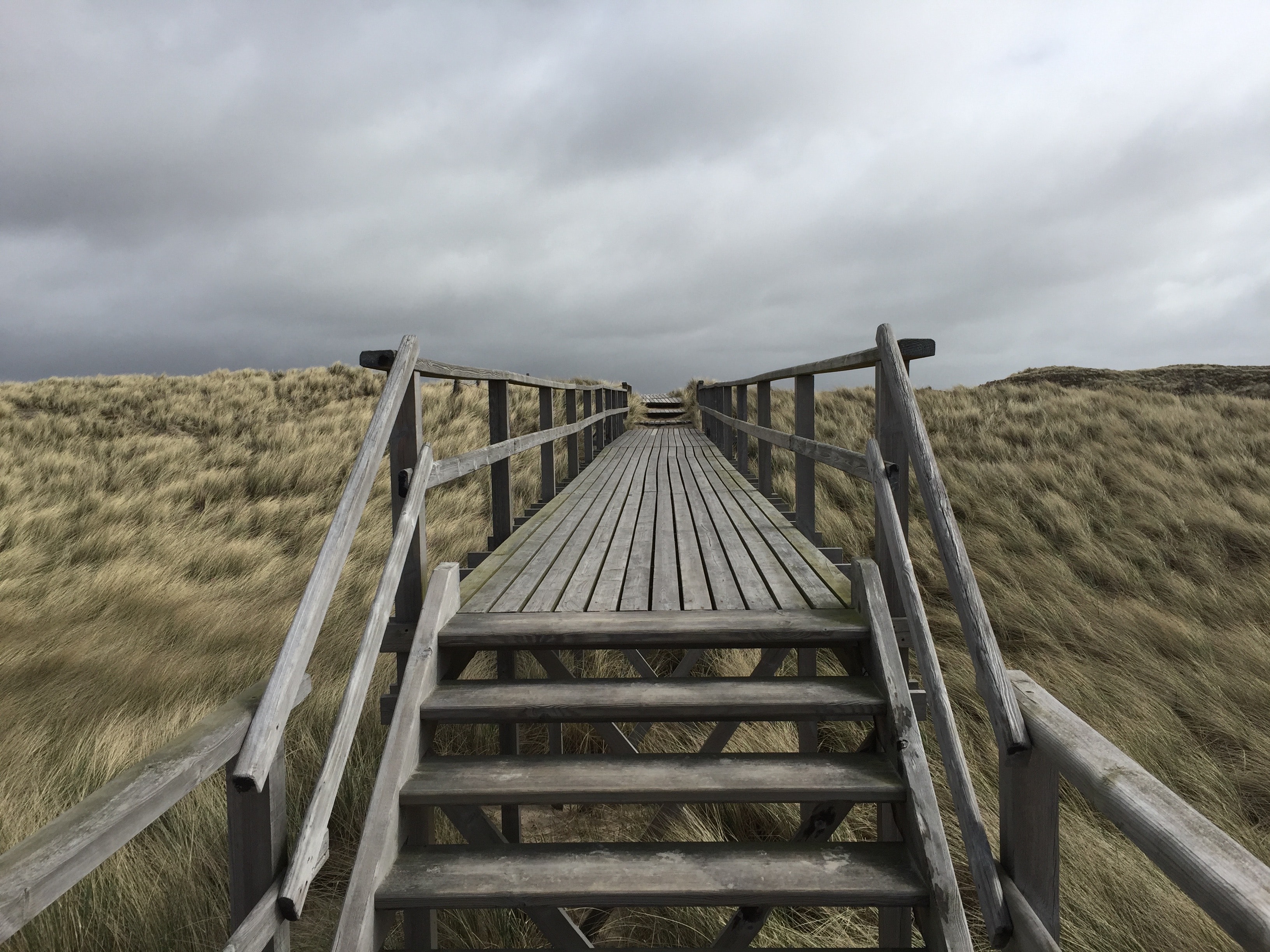 Wooden Bridge in a Field Scenery