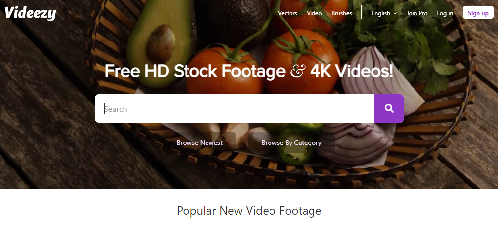 Videezy stock video website